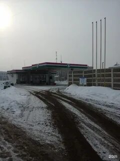 Эко тамбов