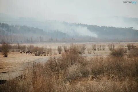 Ноябрь в забайкальском крае погода