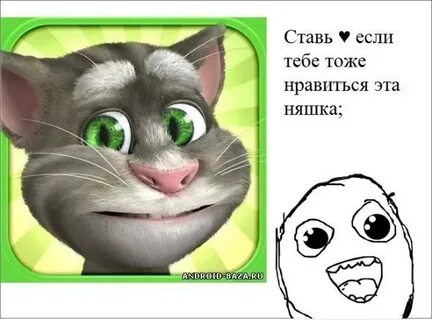 Кот повторен