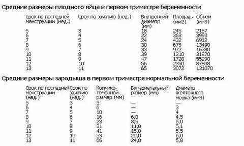 Беременность желтый тело узи