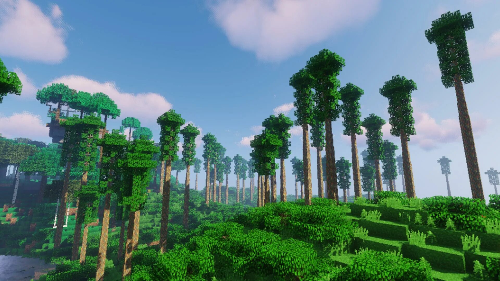 Майнкрафт Biomes o' plenty. Мод Dynamic Trees 1.12.2. Биом о Пленти 1.12.2. Майнкрафт мир Biomes o plenty. Dynamic trees 1.20