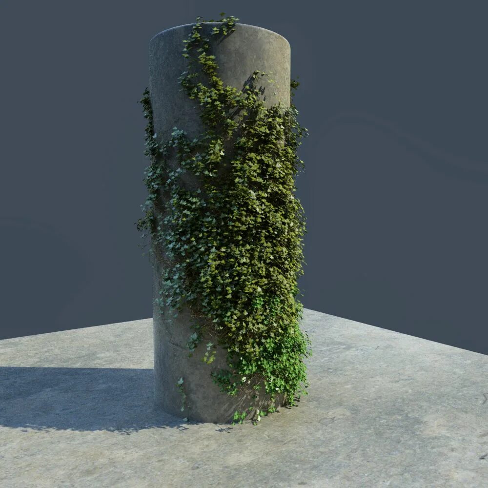 Ivy model