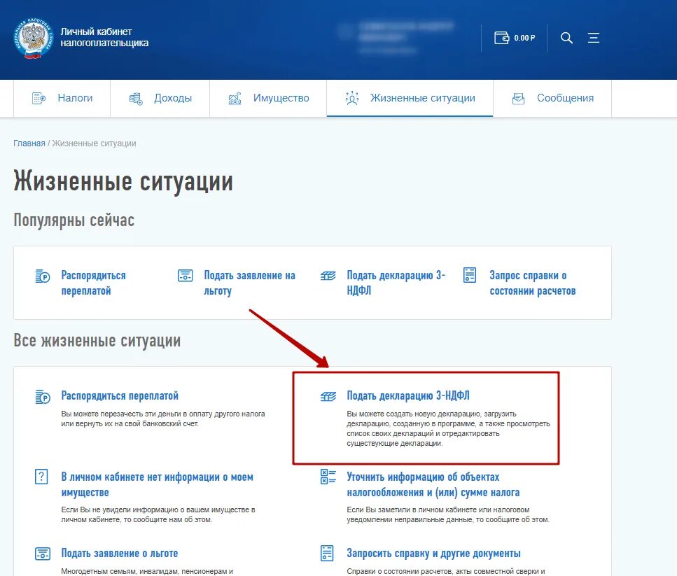 Документ налогоплательщика. Декларация через личный кабинет. НДФЛ на сайте налоговой. Декларация через личный кабинет налогоплательщика. Забыли подать декларацию
