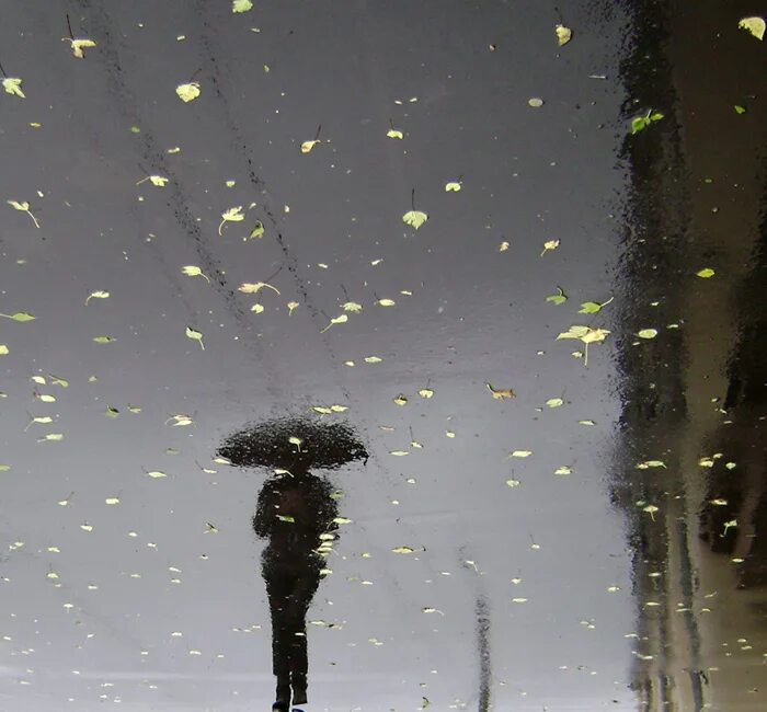 Дождь тоску нагоняя. Депрессивная осень. Дождь за окном и там люди. Осень дождь грусть. Дождь тоску нагоняя.