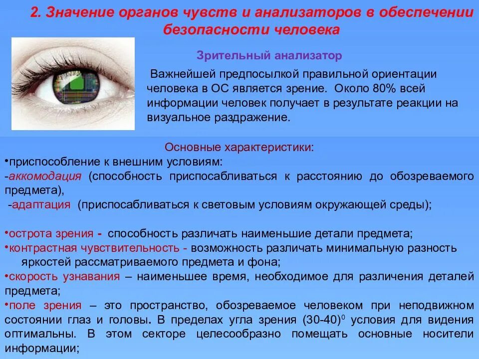 Основные функции зрения. Значение органов чувчт. Значение органов чувств. Значение анализаторов. Значение всех анализаторов у человека.