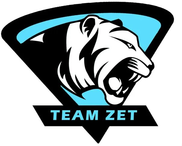 Zet team читы. Логотип зет. наклейки zet. аватарка zet. компания zet gaming.