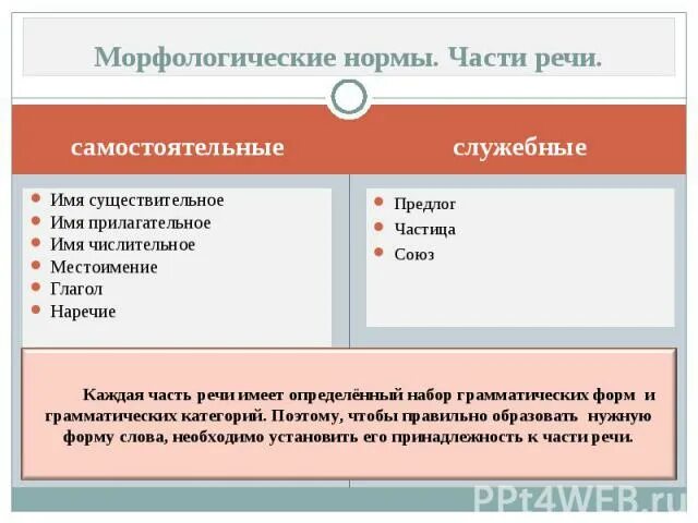 Морфологические нормы частей речи. Морфологические нормы речи. Морфологические нормы употребления частей речи. Морфологические нормы местоимений.