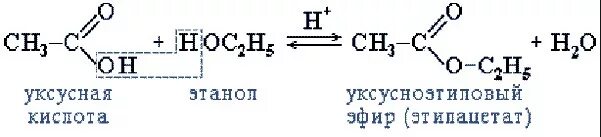 Уксусно добавить. Этиловый спирт и уксусная кислота реакция. этиловый спирт уксусной кислоты формула. уксусная кислота этиловый спирт уравнение. этанол и уксусная кислота реакция.