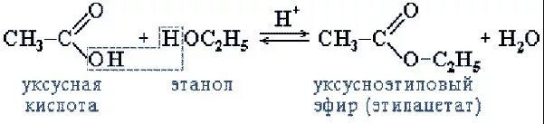 Реакция этерификации уксусной кислоты. Этилацетат можно получить реакцией