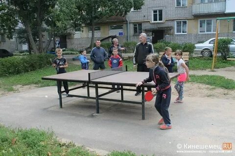 Поликор кинешма