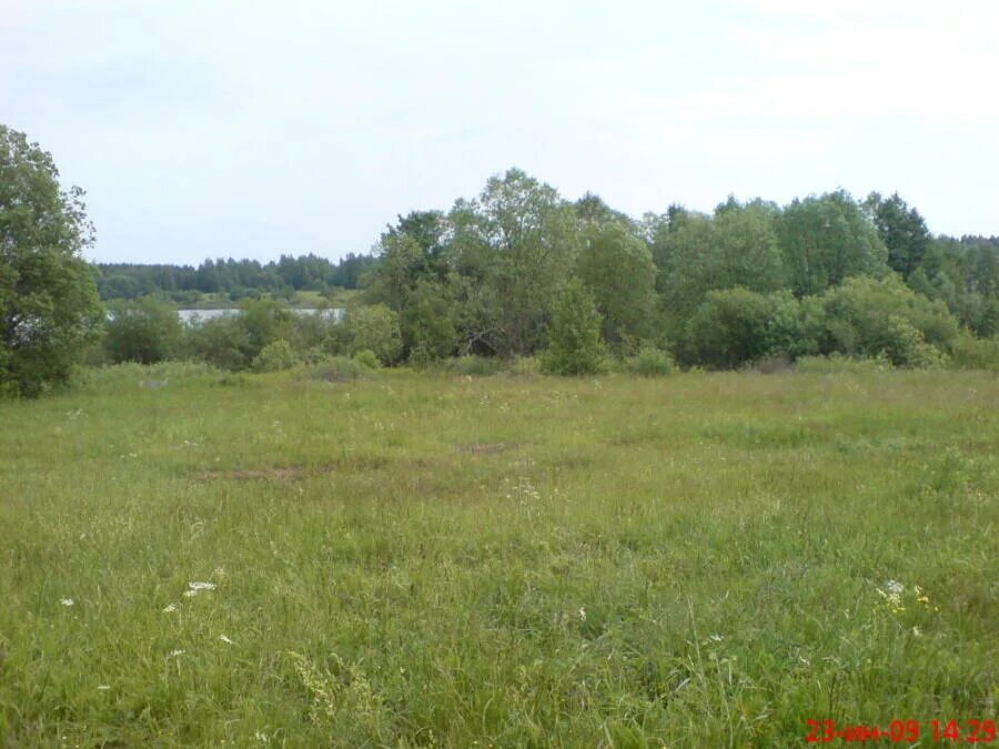 45 соток. Деревня терпниково. Деревня фатьяново калужская область тарусский район. Барятино (тарусский район). Воскресенск село чардым ул лесная.