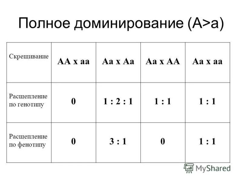 Моногибридное скрещивание по фенотипу f2. Какое расщепление по генотипу и фенотипу. Закон расщепления. Какое расщепление по генотипу и фенотипу. Расщепление по фенотипу 3:3:1:1 дигибридное скрещивание.