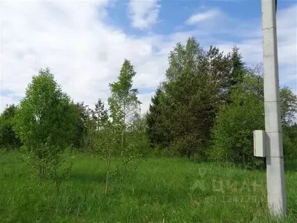 Погода на мшинской лужский на 14