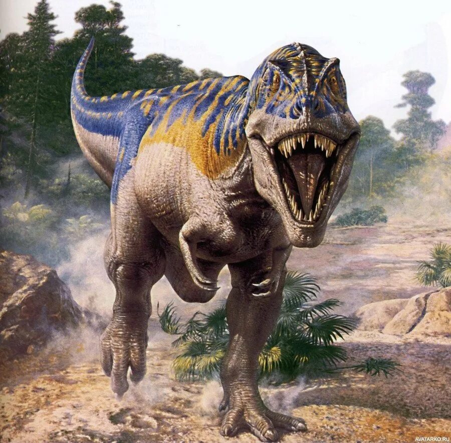 Тираннозавр картинки. T Rex Тираннозавр. Динозавры Тиранозавр РЭКС. Динозавры хищники Тиранозавр. Королевский Тиранозавр.