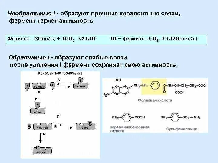 Количественного определения ферментов. Ферменты соединения. Связи в ферментах. Необратимая реакция активности ферментов. Sh-фермент.