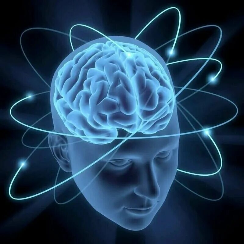 Что создали финци. Красивый мозг. Экзистенциальный уровень. Мышление парадоксами. Мозг.