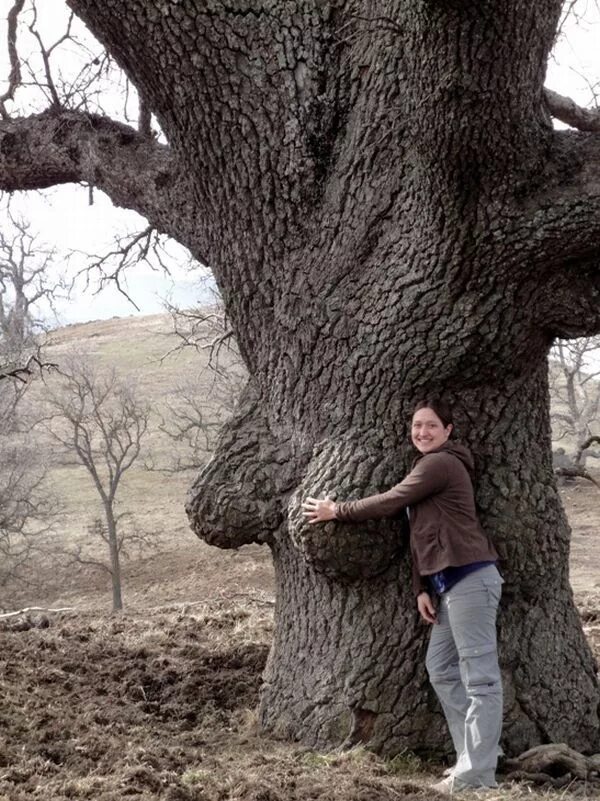 женщина кочегар. парень на скамейке арт. шашлык должен делать мужик. аниме парень на скамейке. парень отжарил святое дерево читать.