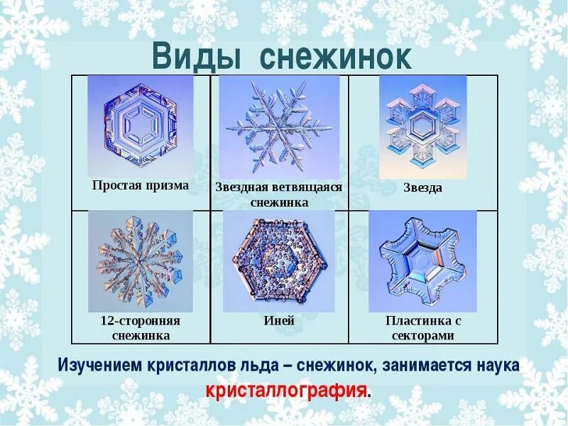 Виды снежинок. Формы снежинок. Какой формы бывают снежинки. Снежинки разной формы.