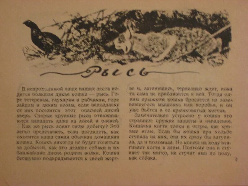 Скребицкий произведения 2 класс. Г Скребицкий Пушок. Скребицкий г.а. Рысь. Илл. А.комаров. 1947. Скребицкий Пушок книга.