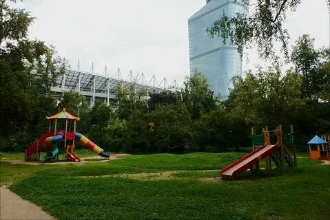Березовая роща полежаевская