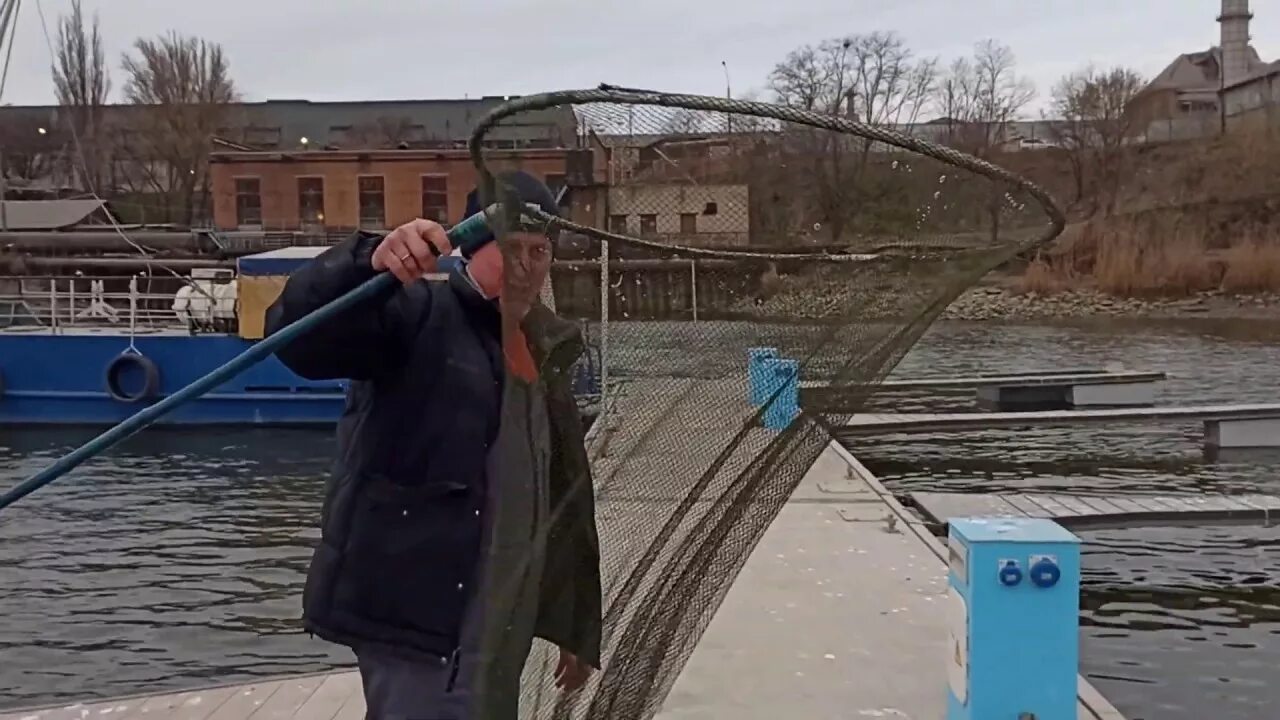 Таганрог рыбалка в 80. Рыбалка в таганрогском заливе. Дарьевский пруд таганрог. Рыбалка в таганроге и окрестностях. Таганрог рыбаки.