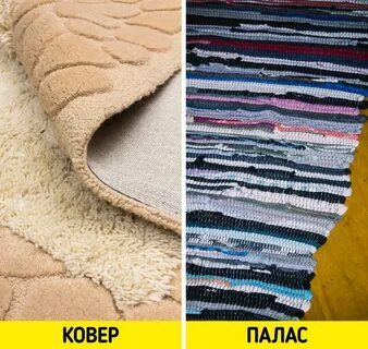 Чем отличается палас