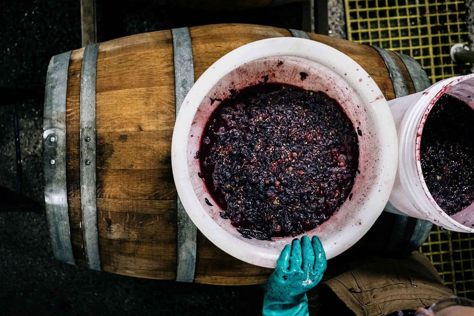 Process of Wine Making Homemade Winery with Oak Barrel and Wooden Grater Blue Gr
