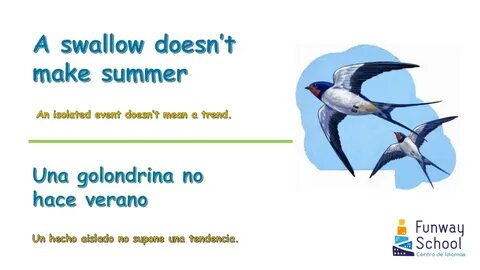 Swallow перевод