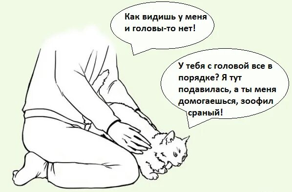 Как достать кошку