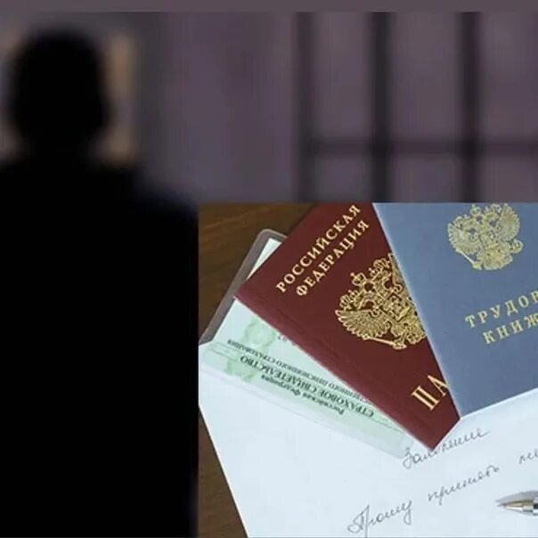 Лиц освободившихся из мест лишения. Трудоустройство лиц освободившихся из мест лишения свободы. трудоустройство освобожденных. буклеты для осужденных. трудоустройство лиц освободившихся из мест лишения свободы буклет.