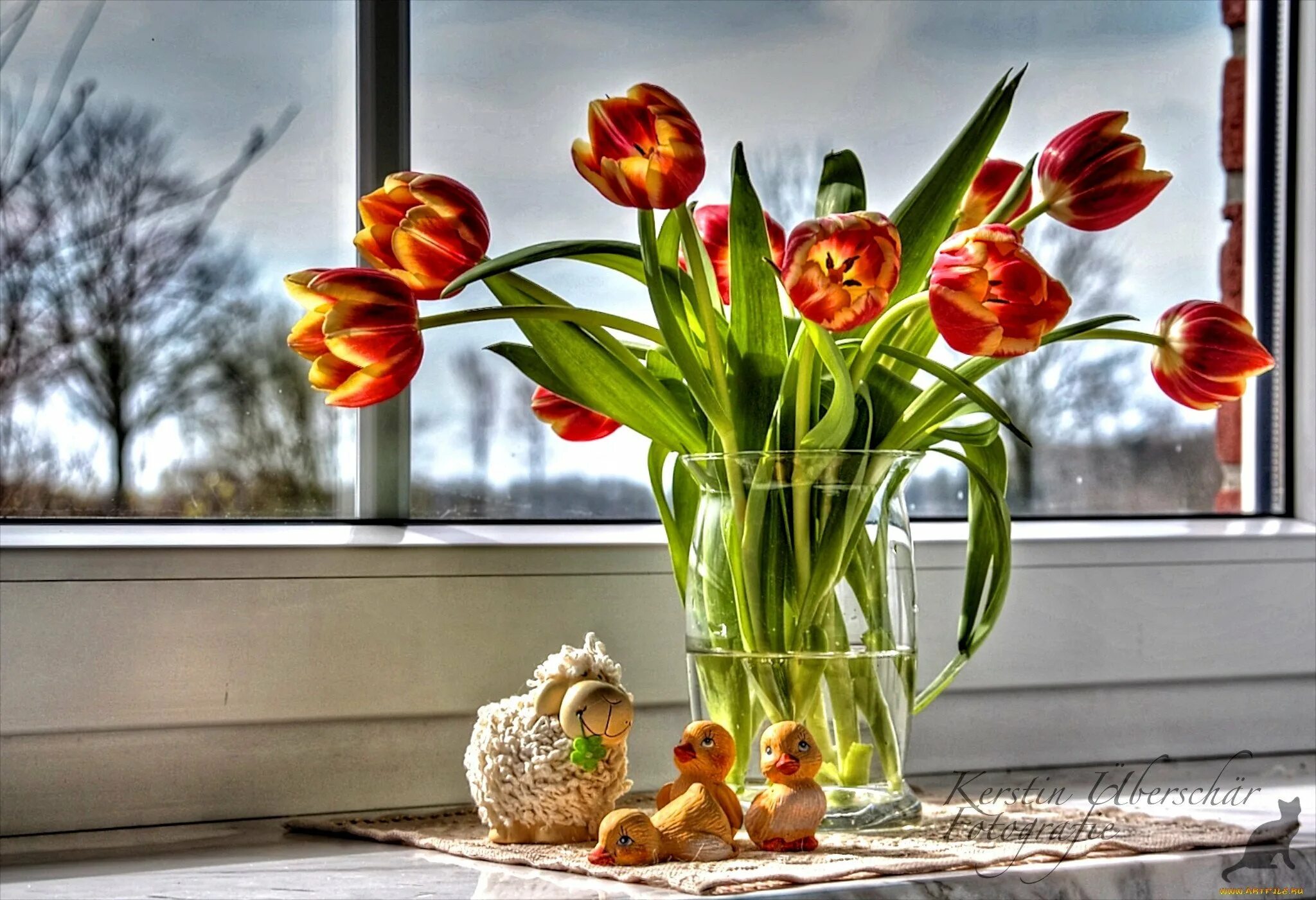 Сколько воды наливать тюльпанам в вазе. Тюльпаны на окне. Тюльпаны в вазе. Тюльпаны на подоконнике. Цветы на подоконнике.