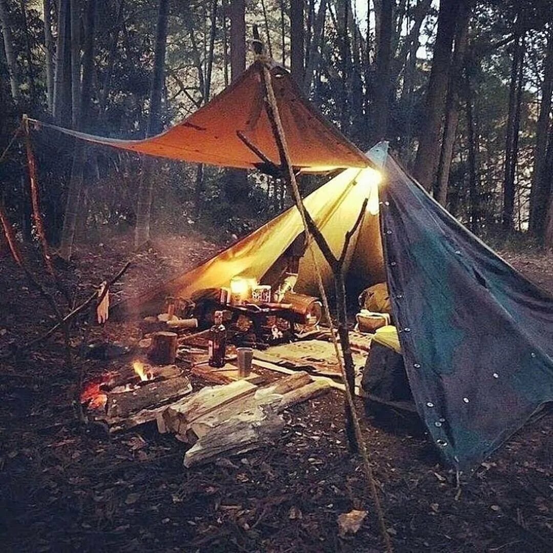 Палатка в лесу. Живем в палатке в лесу. Поход с палатками. Алтай кемп палатки. Туристическая палатка на природе.