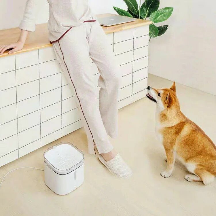 Дозатор воды для животных Xiaomi Kitten&Puppy Water. Поилка Xiaomi Kitten Puppy. Автопоилка для животных Xiaomi Smart Water Dispenser White. Автопоилка Xiaomi Petoneer Smart Pet Water Dispenser. Xiaomi pet fountain