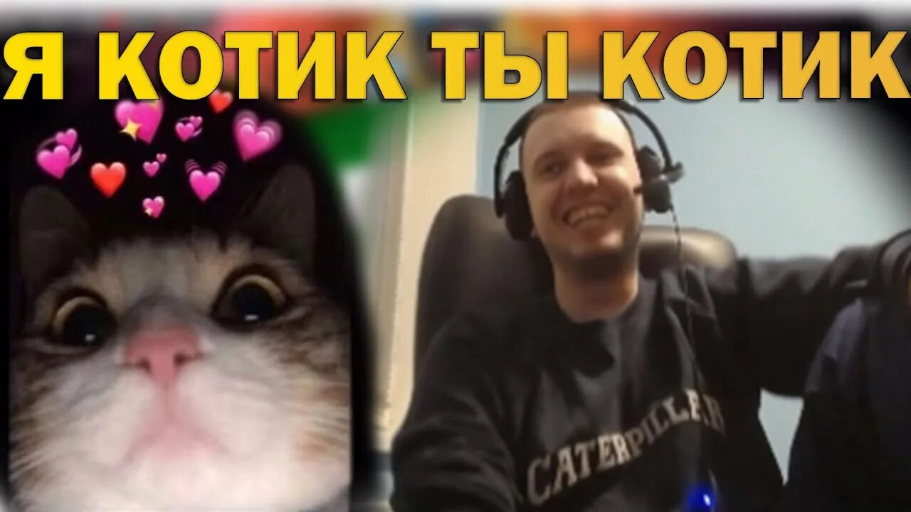 Песня котенок кис кис. Кис кис котик. кот папича. кис кис я котик ты.
