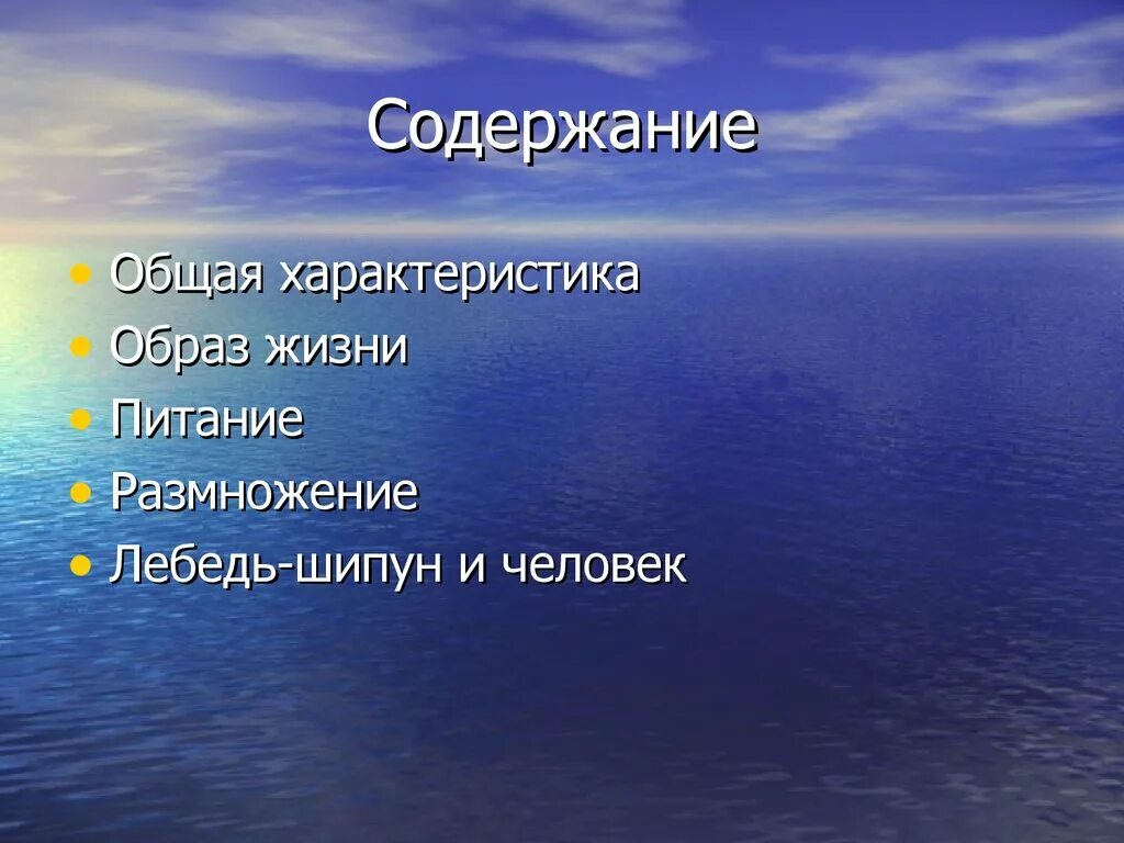 Какой бывает смысл