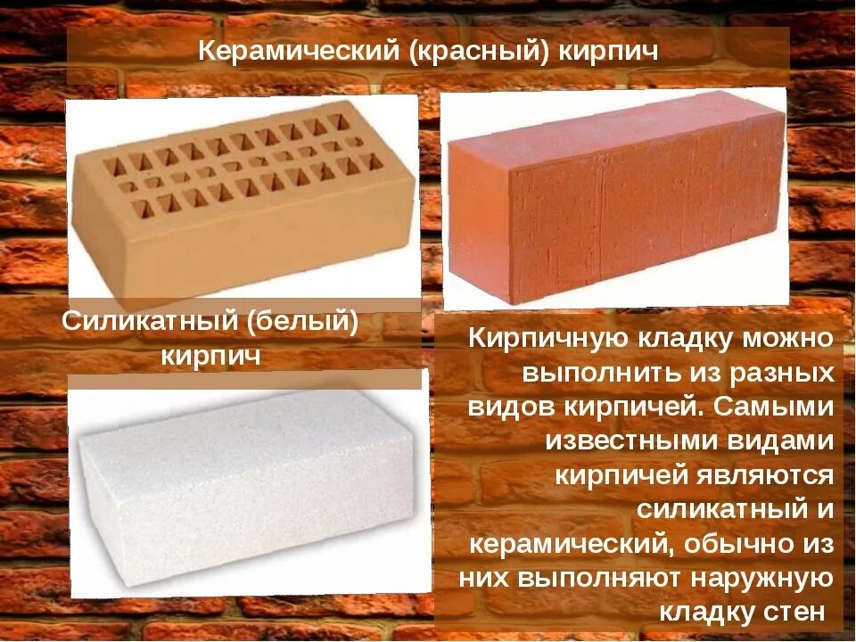 Чем отличается красное от белого