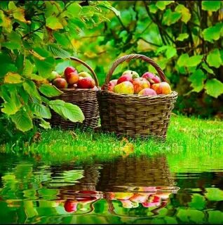 Щедрая природа