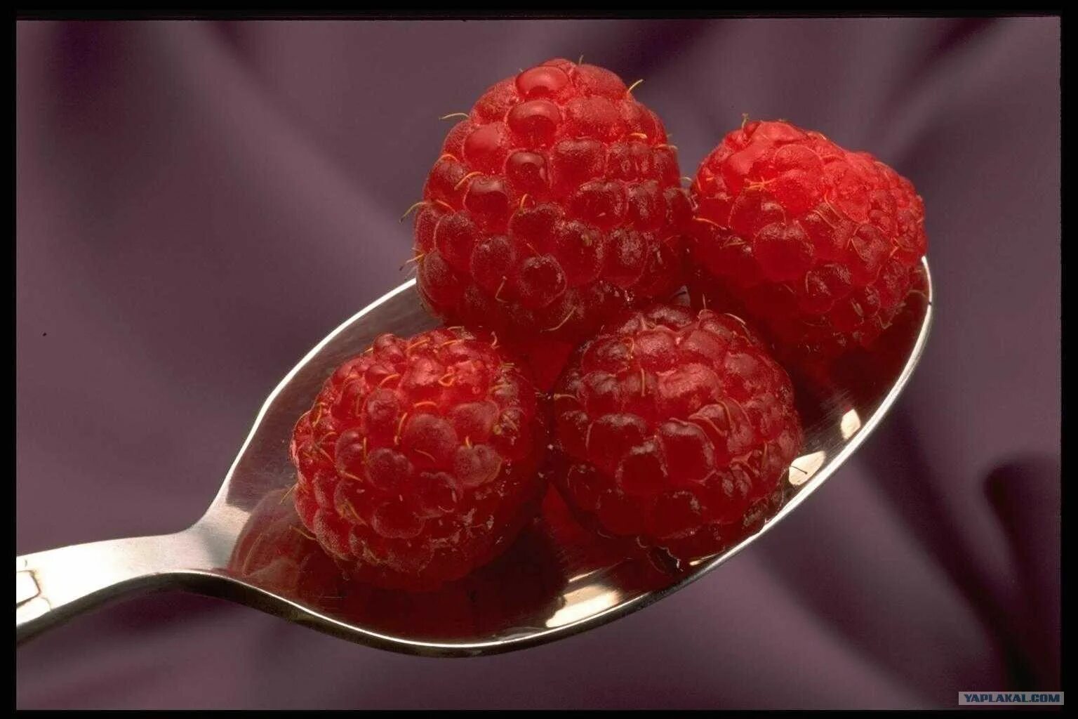 Сколько ложек малины