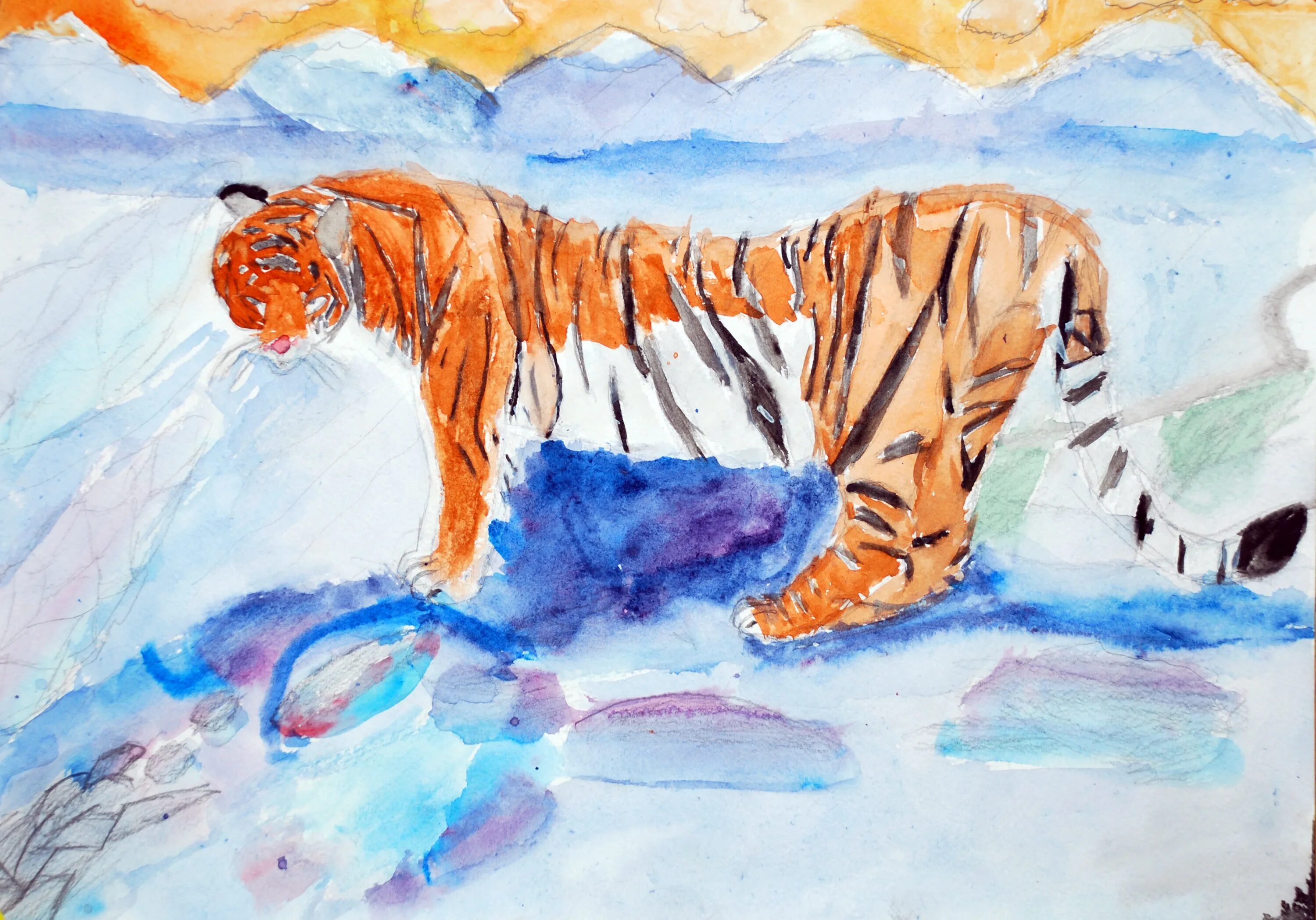 Уссурийский тигр и панда. Уссурийский тигр карандашом. Рисунок Амурского тигра. Уссурийский тигр рисунок. Рисунок на тему Уссурийский тигр.