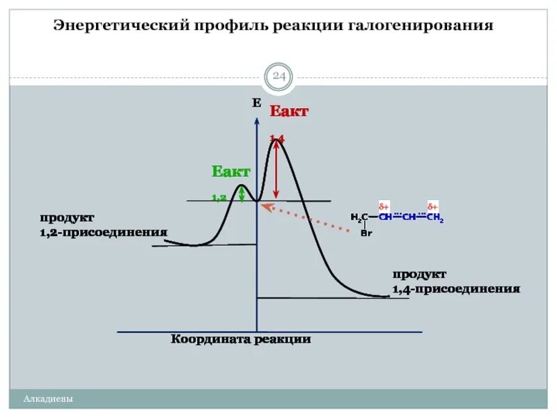 Увеличивают скорость химической реакции какие катализаторы. Энергетический профиль реакции. Координата реакции. Энергетический профиль реакции экзо и эндотермической реакции. Энергетический профиль предприятия это.