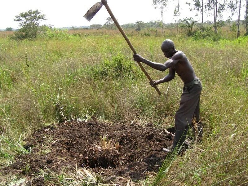 Digging на русском. "Одиночный диггинг".. Hoe. Hoe people. Freeman digging out.