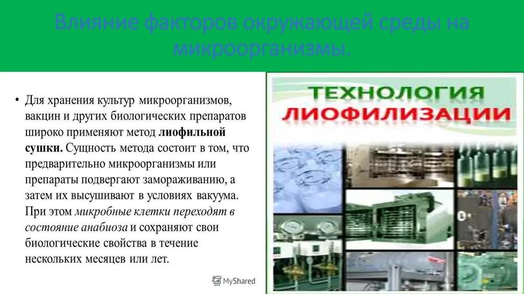 Технология вакцин. Метод лиофилизации. Лиофилизация микроорганизмов и биологических препаратов. Лиофилизация микроорганизмов. Лиофилизация это в микробиологии.