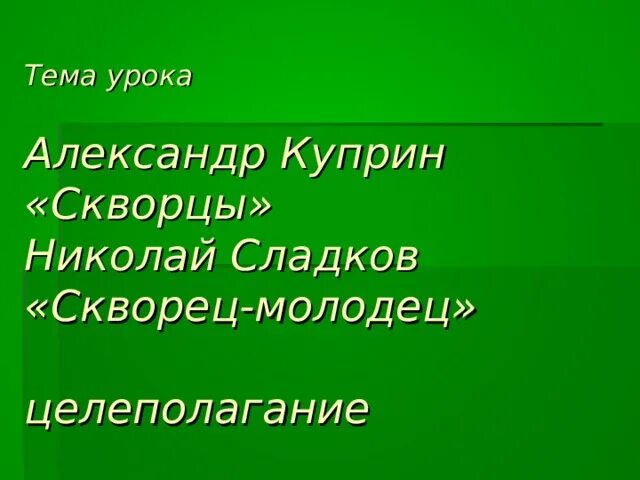 Скворец молодец 2 класс. Куприн скворцы 4 класс. Скворец молодец Сладков. План рассказа Куприна скворцы.