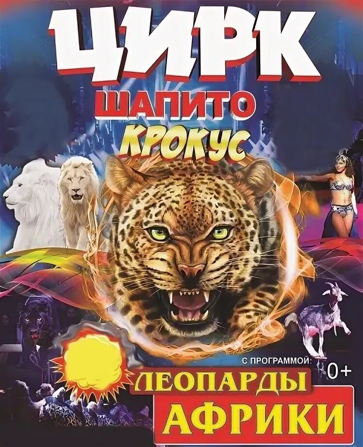 Цирк африка. Цирк шапито крокус. цирк минусинск. цирк крокус артем шапито.