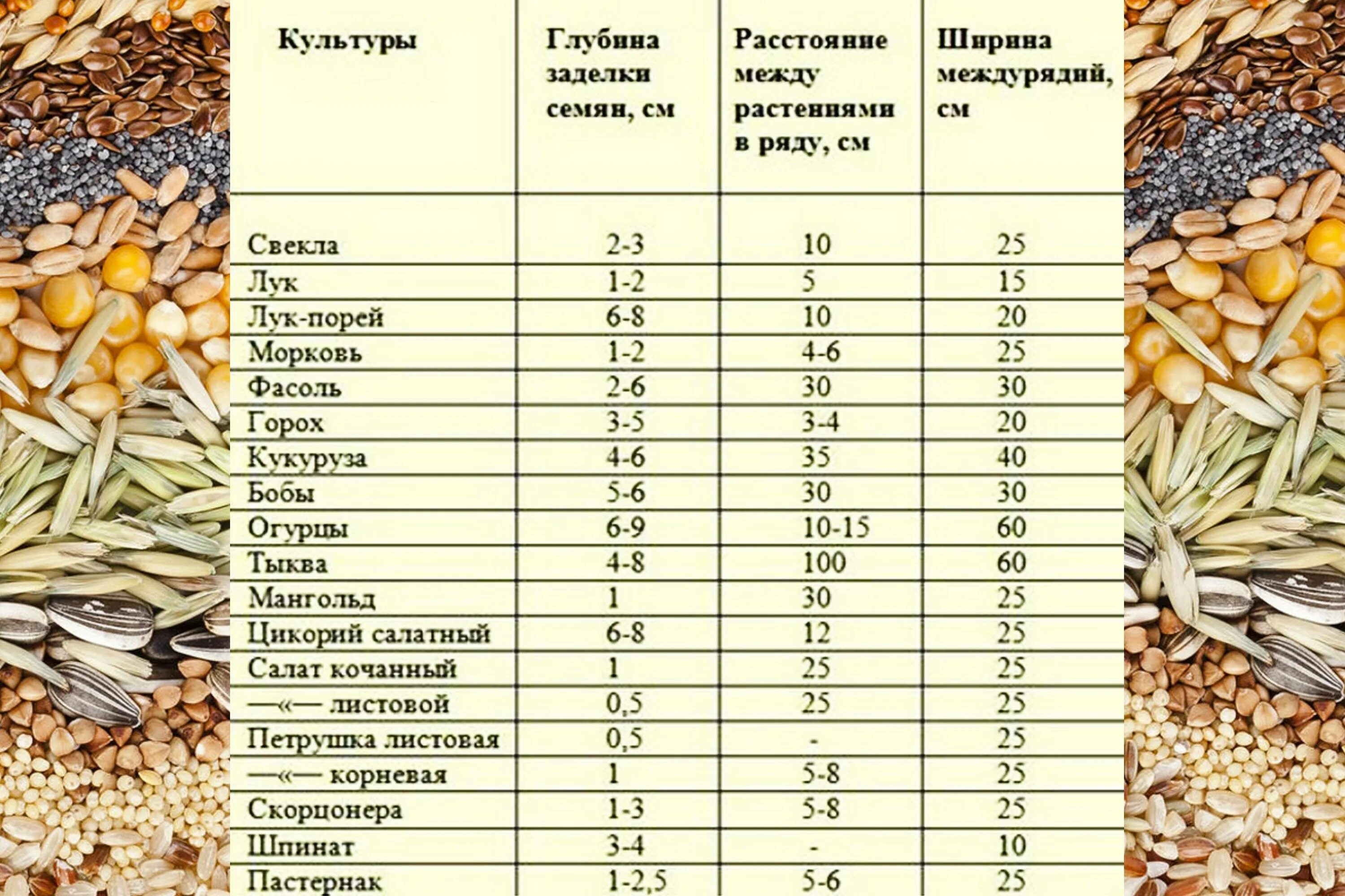 Глубина посева пшеницы. Глубина заделки семян цветов таблица. Глубина заделки семян овощей таблица. Глубина посадки семян овощных культур в открытый грунт. Глубина заделки семян овощных культур таблица.