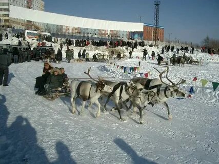 Новый уренгой погода в ноябре