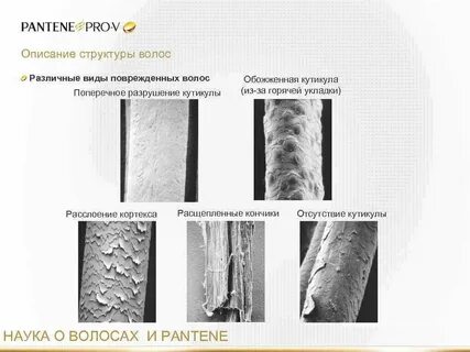 Пористость волос это