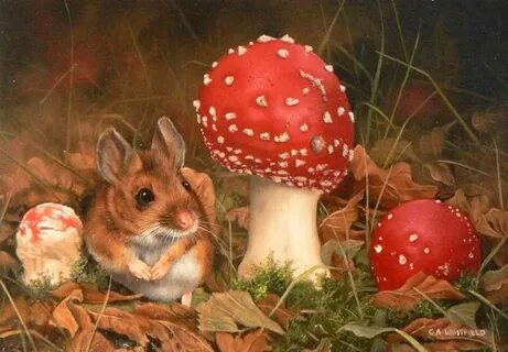 Какие животные едят мухоморы