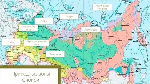 Где тундра и тайга