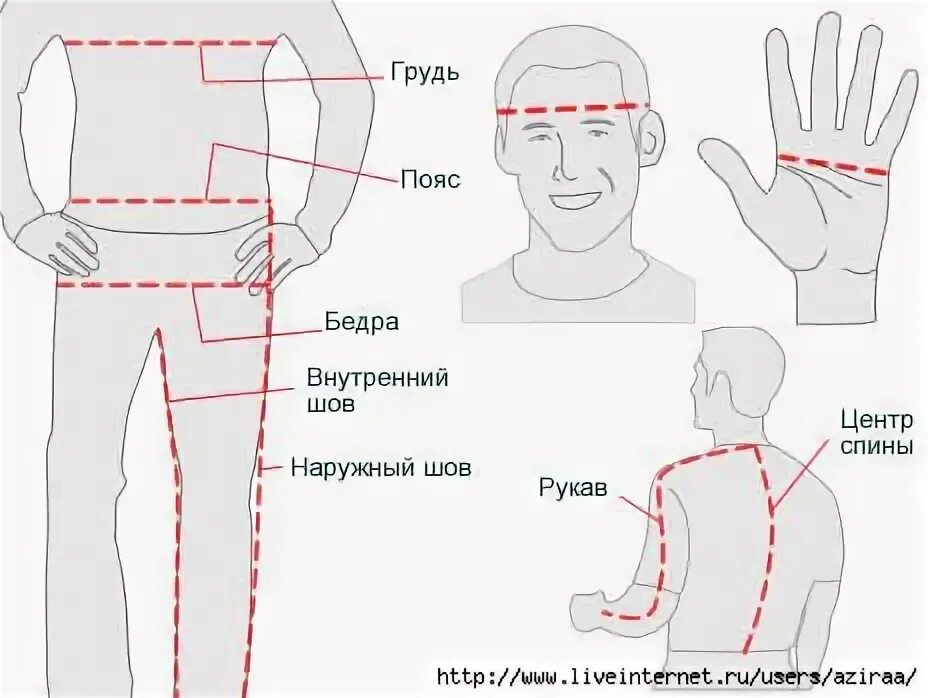 Мужские мерки - таблица размеров от ШКОЛЫ ШИТЬЯ